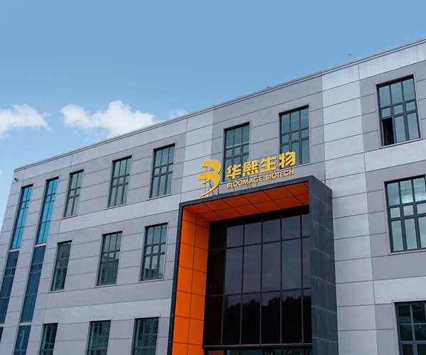 扎根西部 产融兴乡 | 华熙济高甘肃公司筑梦国家东西部协作战略